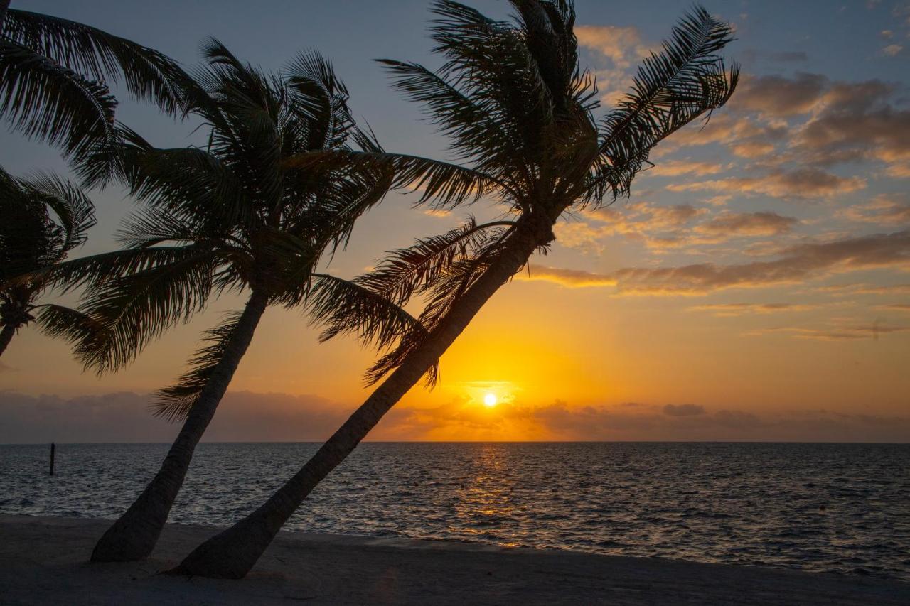 Amara Cay Resort Islamorada Εξωτερικό φωτογραφία